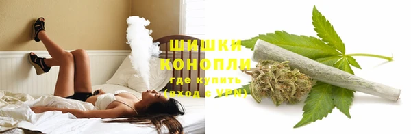 ГАЛЛЮЦИНОГЕННЫЕ ГРИБЫ Новокубанск