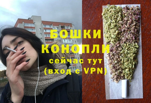 МДМА Новозыбков
