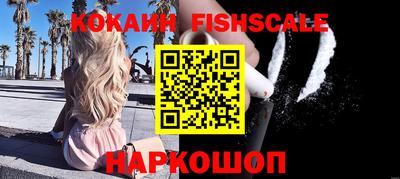 спиды Кингисепп