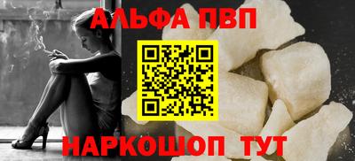 спиды Кингисепп