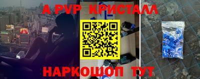 спиды Кингисепп