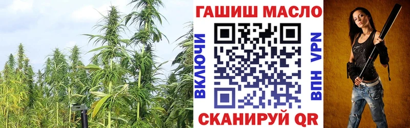 omg ссылка  Иркутск  ТГК гашишное масло 