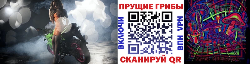 Псилоцибиновые грибы мицелий  Иркутск 