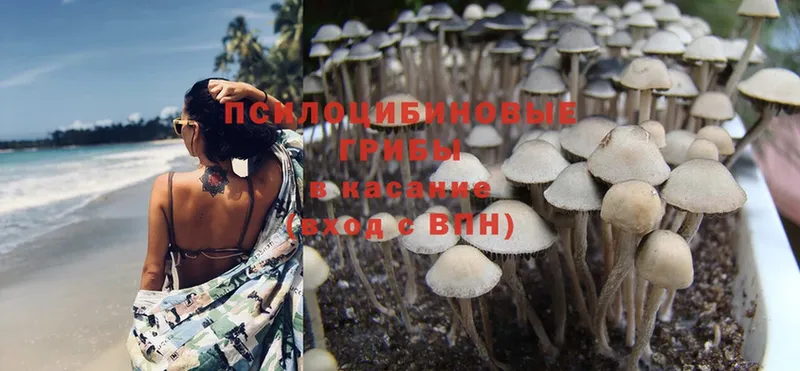 Галлюциногенные грибы Magic Shrooms  хочу   Иркутск 