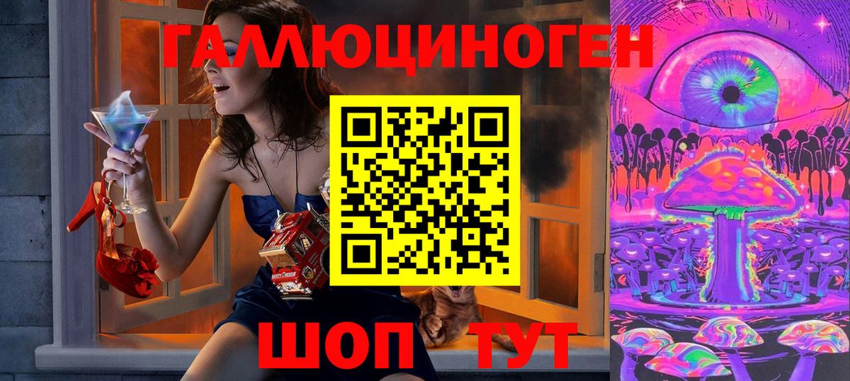 Псилоцибиновые грибы Psilocybe Иркутск